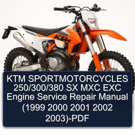 KTM SPORTMOTORCYCLES 250/300/380 SX MXC EXC Engine Service Repair Manual (1999 2000 2001 2002 2003)-PDF