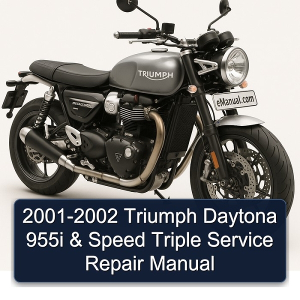 2001-2002 Triumph Daytona 955i & Speed Triple Service Repair Manual