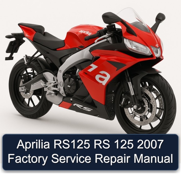 Aprilia RS125 RS 125 2007 Factory Service Repair Manual