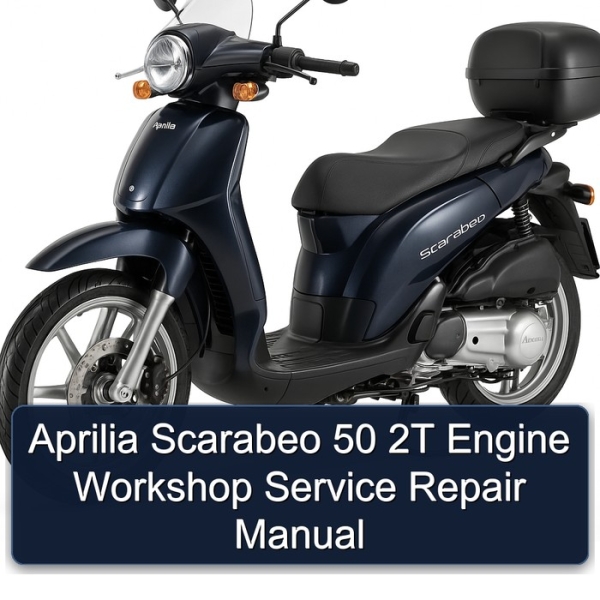 Aprilia Scarabeo 50 2T Engine Workshop Service Repair Manual