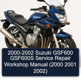2000-2002 Suzuki GSF600 GSF600S Service Repair Workshop Manual (2000 2001 2002)