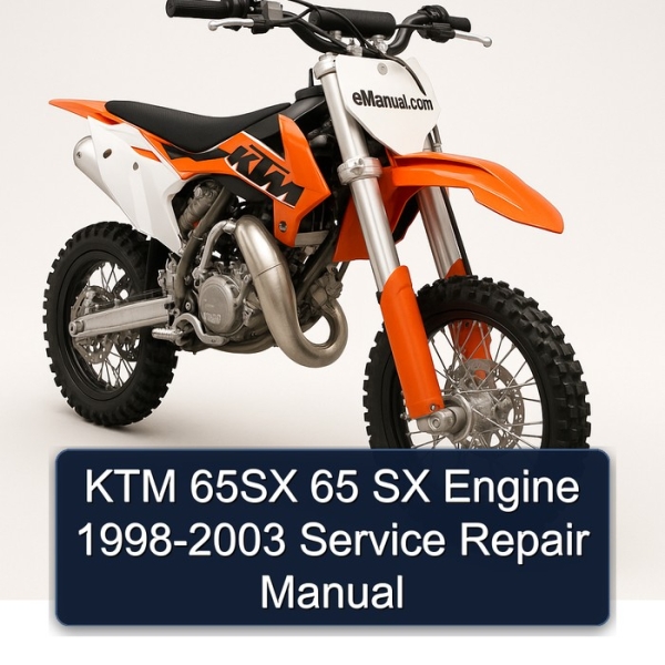 KTM 65SX 65 SX Engine 1998-2003 Service Repair Manual