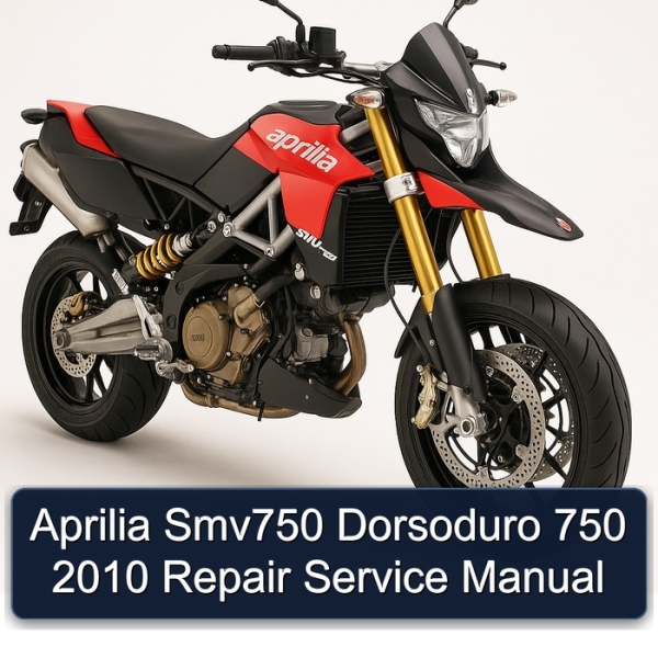 Aprilia Smv750 Dorsoduro 750 2010 Repair Service Manual