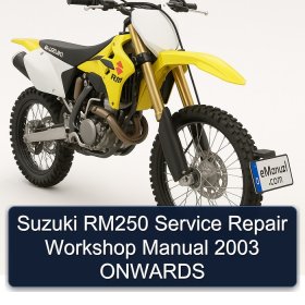 Suzuki RM250 Service Repair Workshop Manual 2003 ONWARDS