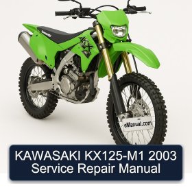 KAWASAKI KX125-M1 2003 Service Repair Manual