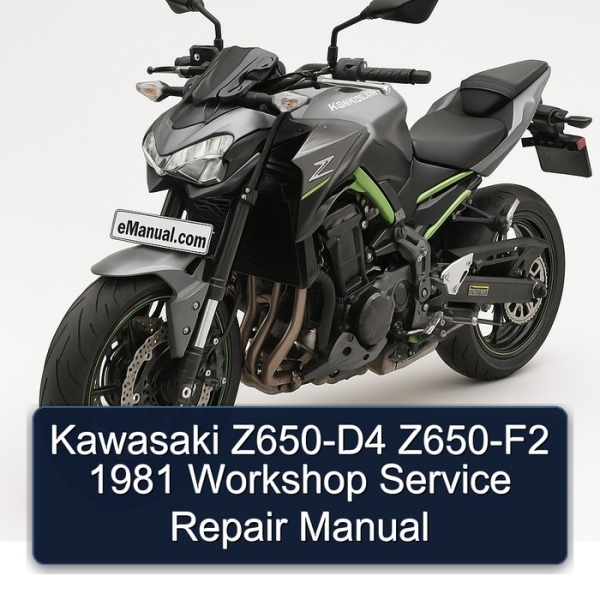 Kawasaki Z650-D4 Z650-F2 1981 Workshop Service Repair Manual