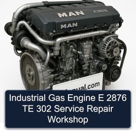 Industrial Gas Engine E 2876 TE 302 Service Repair Workshop