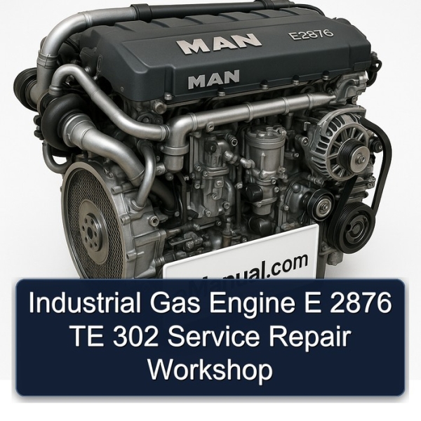 Industrial Gas Engine E 2876 TE 302 Service Repair Workshop