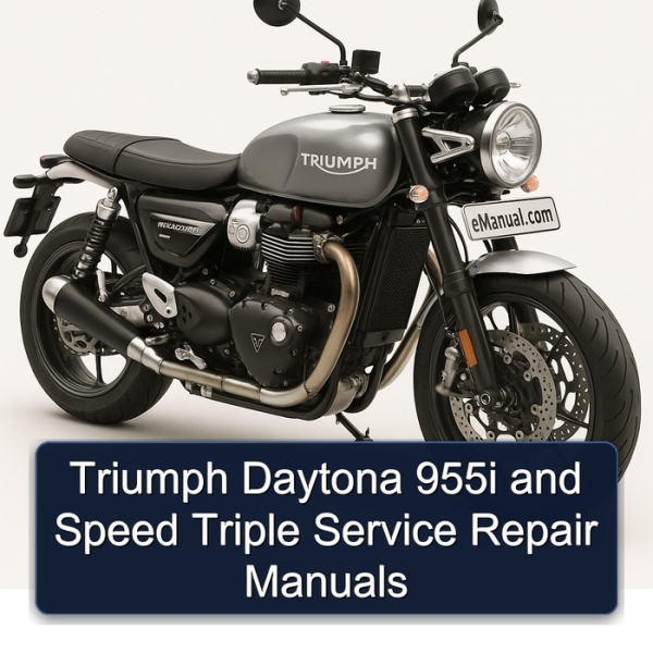 Triumph Daytona 955i and Speed Triple Service Repair Manuals
