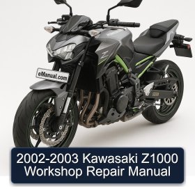 2002-2003 Kawasaki Z1000 Workshop Repair Manual