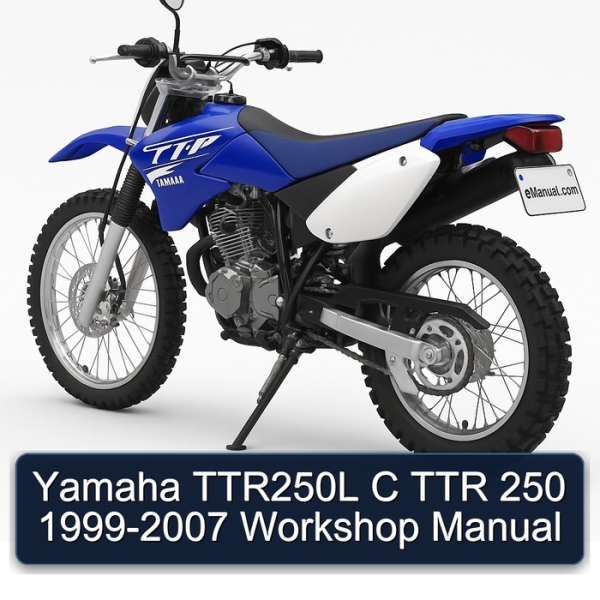 Yamaha TTR250L C TTR 250 1999-2007 Workshop Manual
