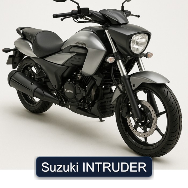 Suzuki INTRUDER