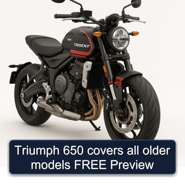 Triumph 650 covers all older models FREE Preview