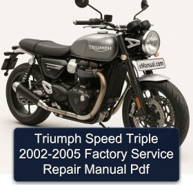 Triumph Speed Triple 2002-2005 Factory Service Repair Manual Pdf