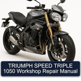 TRIUMPH SPEED TRIPLE 1050 Workshop Repair Manual