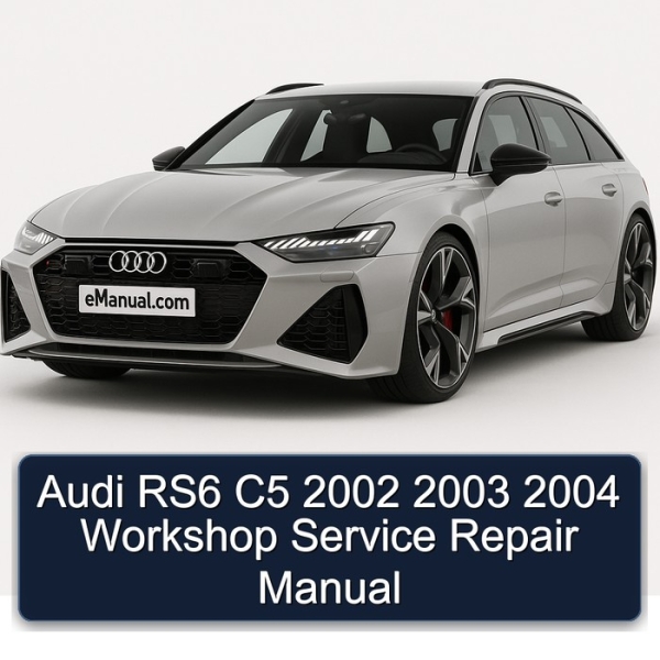 Audi RS6 C5 2002 2003 2004 Workshop Service Repair Manual