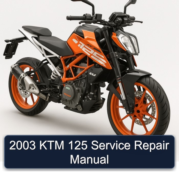 2003 KTM 125 Service Repair Manual