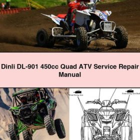 Dinli DL-901 450cc Quad ATV Manual de servicio y reparación