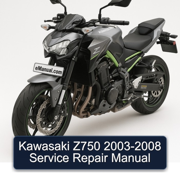 Kawasaki Z750 2003-2008 Manual de servicio y reparación