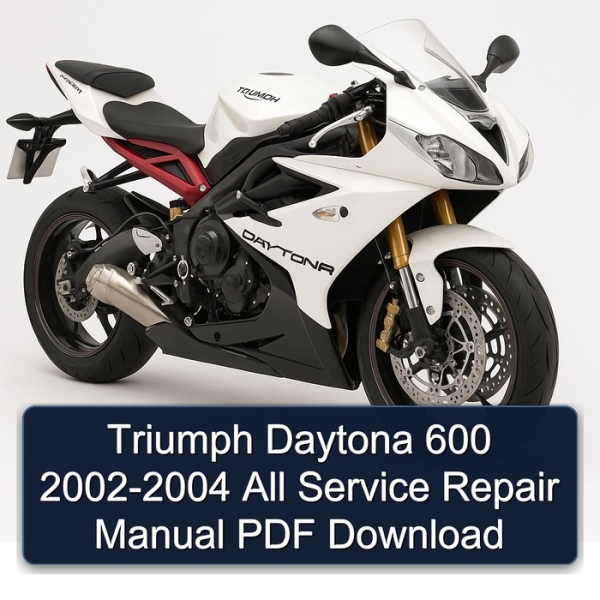 Triumph Daytona 600 2002-2004 All Service Repair Manual PDF Download