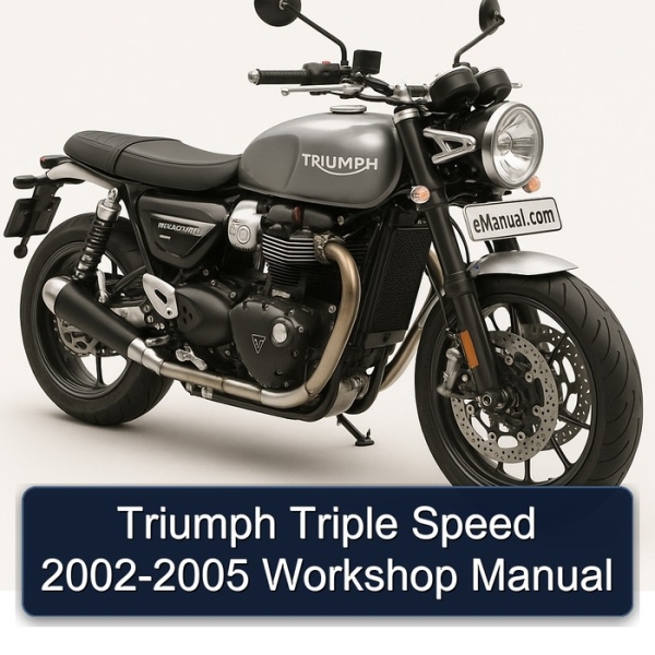Triumph Triple Speed 2002-2005 Workshop Manual