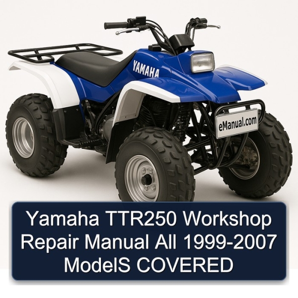 Yamaha TTR250 Workshop Repair Manual All 1999-2007 ModelS COVERED