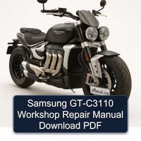Samsung GT-C3110 Workshop Repair Manual Download PDF