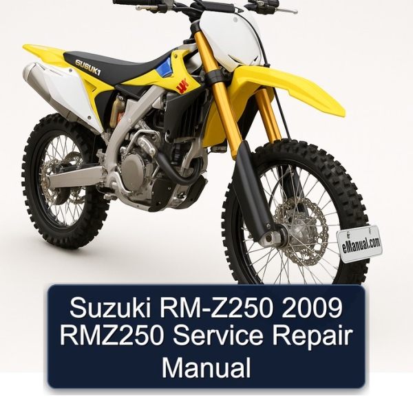 Suzuki RM-Z250 2009 RMZ250 Service Repair Manual