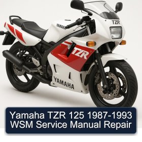 Yamaha TZR 125 1987-1993 WSM Service Manual Repair