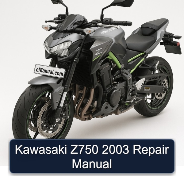 Kawasaki Z750 2003 Repair Manual