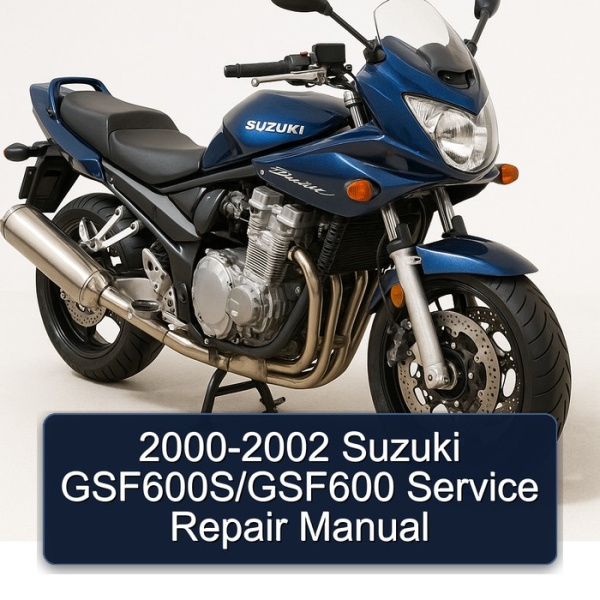 2000-2002 Suzuki GSF600S/GSF600 Service Repair Manual