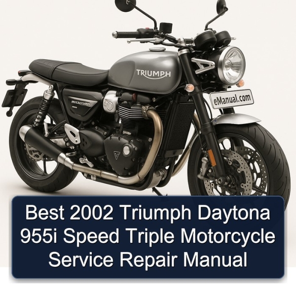 Best 2002 Triumph Daytona 955i Speed Triple Motorcycle Service Repair Manual