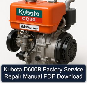 Kubota D600B Factory Service Repair Manual PDF Download
