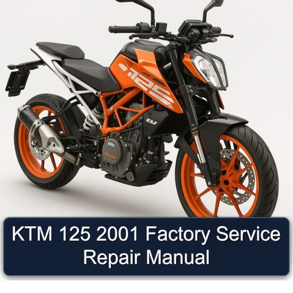 KTM 125 2001 Factory Service Repair Manual