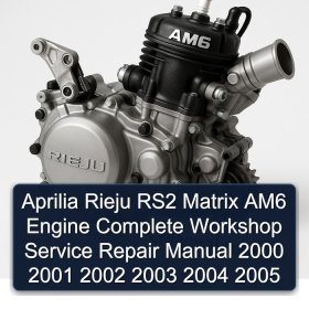 Aprilia Rieju RS2 Matrix AM6 Engine Complete Workshop Service Repair Manual 2000 2001 2002 2003 2004 2005