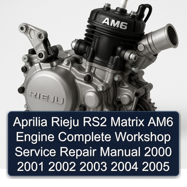 Aprilia Rieju RS2 Matrix AM6 Engine Complete Workshop Service Repair Manual 2000 2001 2002 2003 2004 2005
