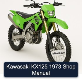 Kawasaki KX125 1973 Shop Manual
