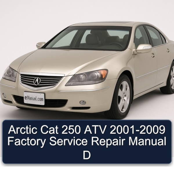 Arctic Cat 250 ATV 2001-2009 Factory Service Repair Manual D