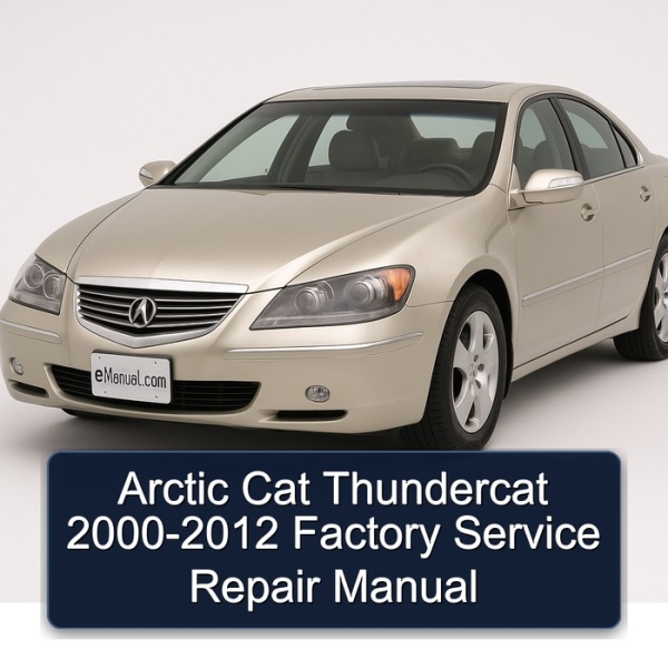 Arctic Cat Thundercat 2000-2012 Factory Service Repair Manual