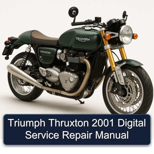 Triumph Thruxton 2001 Digital Service Repair Manual