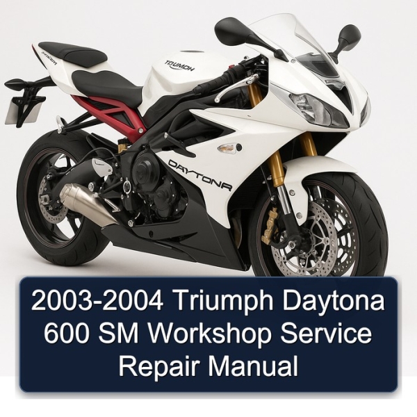 2003-2004 Triumph Daytona 600 SM Workshop Service Repair Manual