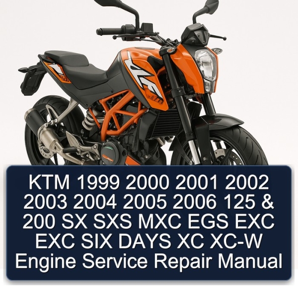 KTM 1999 2000 2001 2002 2003 2004 2005 2006 125 & 200 SX SXS MXC EGS EXC EXC SIX DAYS XC XC-W Engine Service Repair Manual