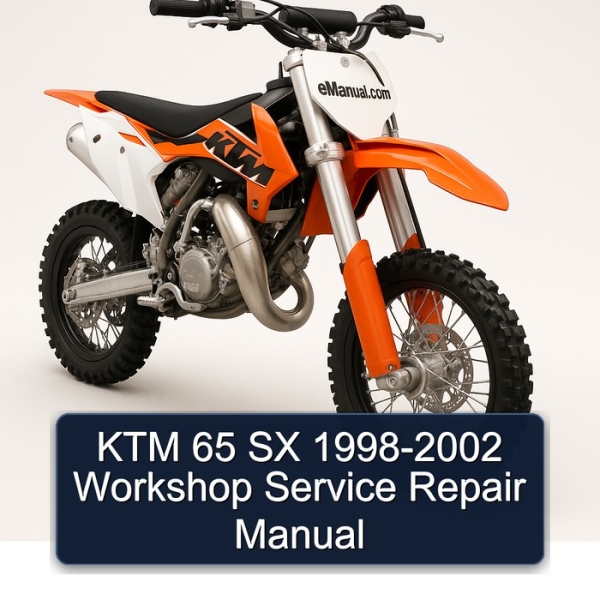 KTM 65 SX 1998-2002 Workshop Service Repair Manual