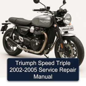 Triumph Speed Triple 2002-2005 Service Repair Manual