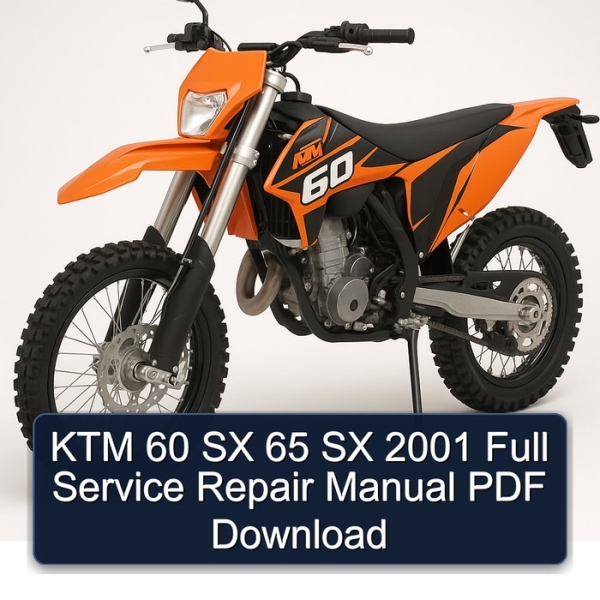KTM 60 SX 65 SX 2001 Full Service Repair Manual PDF Download