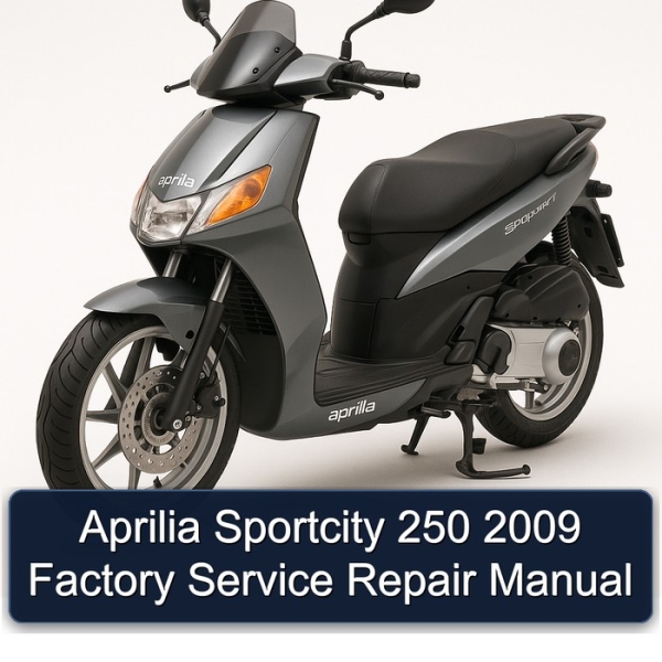 Aprilia Sportcity 250 2009 Factory Service Repair Manual