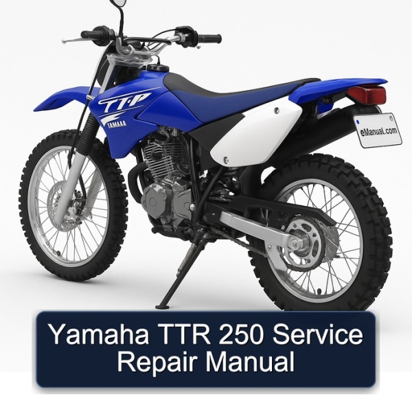 Yamaha TTR 250 Service Repair Manual