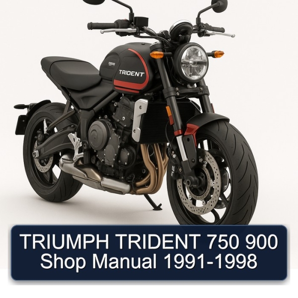 TRIUMPH TRIDENT 750 900 Shop Manual 1991-1998