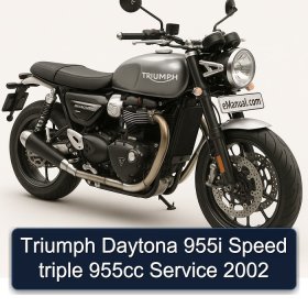 Triumph Daytona 955i Speed triple 955cc Service 2002