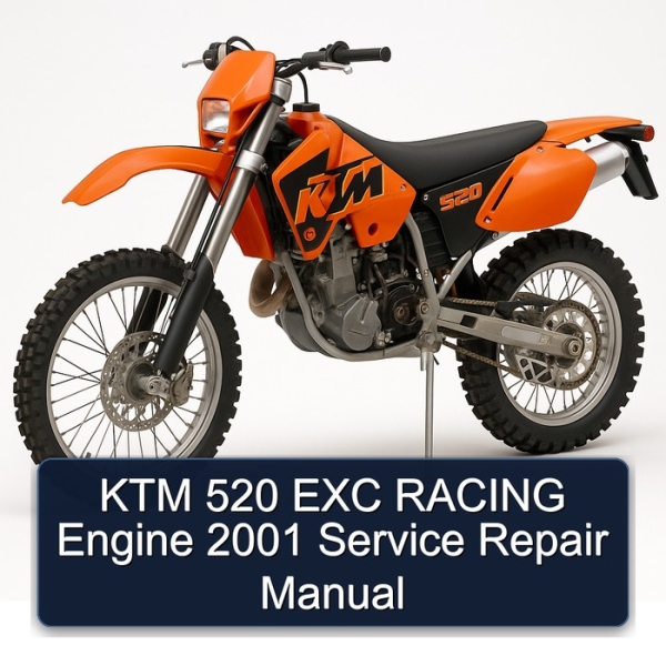 KTM 520 EXC RACING Engine 2001 Service Repair Manual